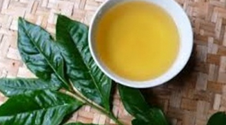 5 loại lá càng dùng càng thơm ngát: Chị em không cần dùng nước hoa vẫn diệt mùi cả ngày