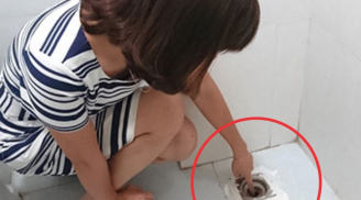 Mẹo khử mùi hôi cống trong nhà vệ sinh đơn giản, chỉ 5 phút là sạch thơm