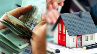 Cách kiểm tra nhà đất có đang bị thế chấp ngân hàng không, tránh gặp rủi ro khi đầu tư