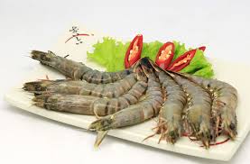 Một Shbet0099 cá cược trực tuyến mà các bác sĩ khuyên nên tránh nếu không muốn bị bệnh quấn thân