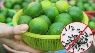 Vắt chanh đừng vội bỏ vỏ, đem dùng vào 8 việc này tiết kiệm cả đống tiền