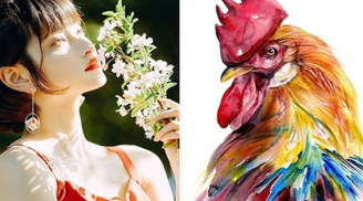 4 tuổi là cỗ máy in tiền trong tháng 8 dương: Thần Tài ban lộc, của nả ùa về như thác lũ
