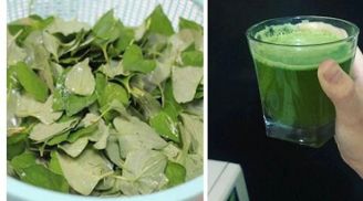 2 loại rau như là 'bạn thân' của chị em: Điều hòa kinh nguyệt, cực tốt cho da, càng chăm ăn càng trẻ lâu