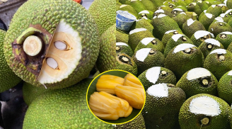 Dân trong nghề tiết lộ vì sao mít bị cắt một góc trên đầu, bôi chất trắng: Cách chọn quả chín cây, ít xơ