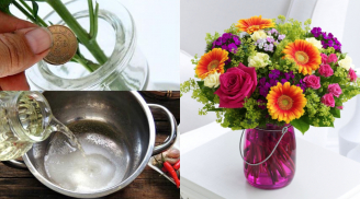 Cắm hoa đừng chỉ dùng nước lã: Thêm thứ này hoa nở đều, cả tuần vẫn tươi rói