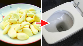 Bỏ 1 tép tỏi vào bồn cầu trước khi đi ngủ, sáng dậy thấy ngay lợi ích tuyệt vời