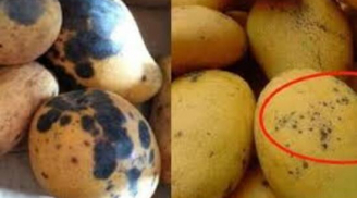 Xoài có đốm đen ăn được không hay vứt đi, đốm to hay nhỏ thì ngon hơn: Sự thật khiến nhiều người ngã ngửa