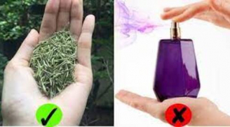 5 loại lá càng dùng Sh88bet đăng ký miễn phí càng thơm ngát: Chị em không cần dùng nước hoa vẫn khử mùi hiệu quả