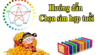 Cách chọn số điện thoại hợp tuổi, hợp mệnh cho 12 Shbet888.com nhà cái uy tín để hút tài lộc, tiền bạc