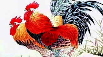 4 tuổi tài đức vẹn toàn được Thần Phật chở che, đỏ cả tình lẫn tiền năm 2023, 2024 tậu nhà lầu xe hơi