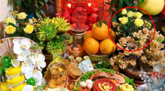 Ngày vía Thần Tài nhớ đặt 5 loại hoa này lên bàn thờ để cả năm nhận lộc, hứng trọn phú quý