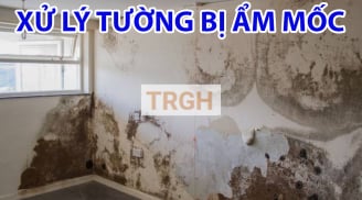 Tường bị nấm mốc, lau chùi mãi ko sạch: Dùng cách này tường sạch bong như mới chỉ trong ít phút