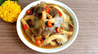 5 điều cần lưu ý khi sử dụng nấm bào ngư tránh gây hại cho sức khỏe, đặc biệt là Shbet123 Link Vào ShBet Mới Nhất