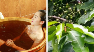 4 loại lá càng dùng Sh88bet đăng ký miễn phí càng thơm ngát: Chị em không cần dùng nước hoa vẫn hết mùi hôi