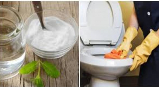 Bồn cầu ố vàng lâu ngày: Chỉ cần rắc 1 chút bột rẻ tiền là sạch ngay, không cần tốn công cọ rửa