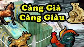 Phú Quý tới muộn: 4 tuổi sướng trước khổ sau, càng già càng giàu hưởng lộc trời ban