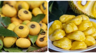 Ông bà ta dặn: 'Khi thị đã chín tuyệt đối đừng mua mít' vì sao lại như vậy?