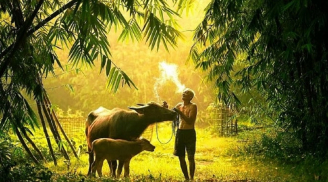 Làm người phải bớt đi 1 thứ này mới tránh được hết tai ương trong Shbet16 chơi game trực tuyến