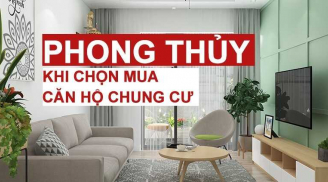 Khi mua chung cư nên chọn tầng này: Phong thủy tốt, càng ở lại càng có giá, bán chẳng bao giờ lỗ