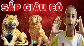 Cuối năm Quý Mão: 3 tuổi rung đùi hưởng phúc lộc, 1 tuổi phạm Thái Tuế, đen đủi trăm bề