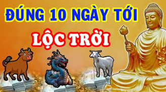 Song hỷ lâm môn: 3 tuổi này Tình Tiền đỏ chót, đụng trúng hố vàng trong 10 ngày tới
