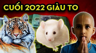 Nhân đôi tài lộc nhân 3 tiền tài: 4 tuổi tiền về đầy tay, vận may gõ cửa cuối năm 2023