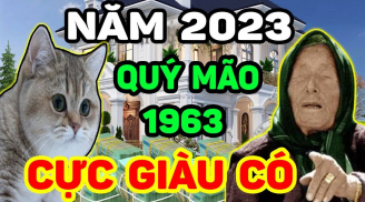 Gặp được Sh88bet link truy cập World Cup: 4 tuổi đạp gió rẽ sóng, cá chép hóa Rồng cuối năm Quý Mão