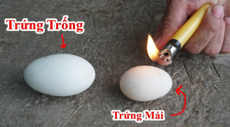 Mua trứng gà nhiều người chỉ chọn quả nhỏ, người bán hàng nói: Tốt nhất là chọn quả này
