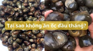 Tại sao người xưa dặn không ăn ốc mùng 1? Không chỉ vì may rủi mà vì lý do rất thực tế này