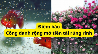 Trong nhà bỗng dưng có những thứ này đột ngột thay đổi chứng tỏ đến lúc bạn được hưởng lộc Tổ tiên