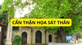 Tại sao đền chùa thanh tịnh nhưng ở gần lại hay gặp xui rủi tai họa, làm ăn thất bát? Làm sao hóa giải?