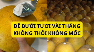 Mùa bưởi, cứ dùng thứ này quét lên quả bưởi thì giữ được vài tháng bưởi không mốc không héo