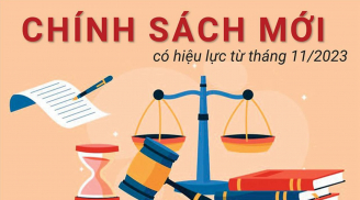 Chính sách nổi bật có hiệu lực từ tháng 11 về tiền lương và những điều chỉnh mới nhất