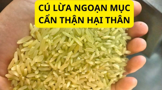 Cơn sốt gạo Séng cù xanh, đừng dại mua, bị lừa tốn tiền lại còn có nguy cơ rước bệnh