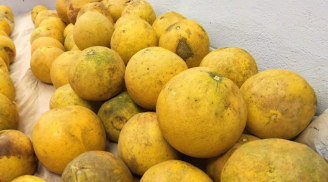 Mua bưởi về cứ làm cách này, bưởi để cả năm không héo không thối, bưởi xuống nước còn tăng vị ngọt