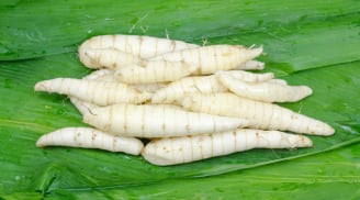 Loại củ để làm miến, mùa đông rất nhiều, giá rẻ lại cực tốt cho trẻ nhỏ, bà bầu, thần dược cho người già