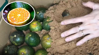 Cách bảo quản cam tươi lâu không cần tủ lạnh, giữ nguyên dưỡng chất