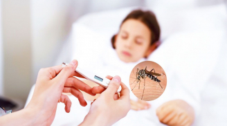 Mắc sốt xuất huyết rồi có bị mắc lại không?