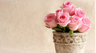 Quý cô sinh ngày Âm lịch này số sướng từ trong trứng, ai cưới được như rước Thần Tài về, giàu sang phù quý