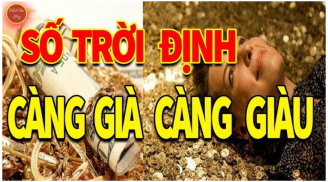 90 ngày đầu năm 2024: 3 tuổi chuột sa hũ nếp tiền về như nước, 1 tuổi ngồi không hưởng lộc Trời ban