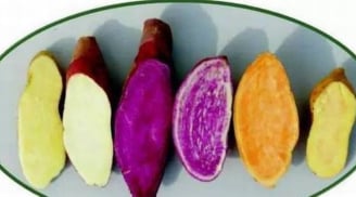 Check vui xem bạn đã phân biệt đúng tên gọi của 12 loại khoai dưới đây chưa!?