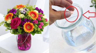 Cắm hoa chơi Tết chỉ nước lạnh thôi là dại: Bỏ thêm thứ này hoa để cả tháng vẫn tươi nguyên