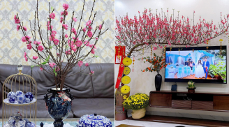 Thêm thứ này vào nước cắm cành đào, hoa nở đúng mùng 1, hết Tết vẫn chưa tàn
