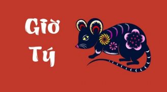 Người sinh giờ này số giàu sang từ trong trứng nước, cuộc đời không phú cũng quý