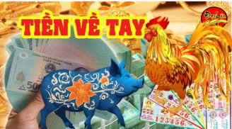 Tuần mới (11/3 - 17/3): 3 tuổi 'ăn lộc' to, 1 tuổi đụng đâu cũng hỏng