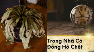 Trong nhà có 3 thứ này 'nằm im': Cảnh báo điềm xui đang tới vứt ngay càng sớm càng tốt