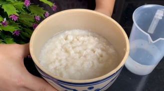 Cách tự nuôi mẻ không cần mẻ cái, chỉ dùng cơm nguội, để lâu cũng không bị nấm mốc