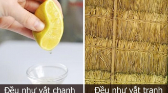 'Đều như vắt tranh' hay 'đều như vắt chanh'? 90% người Việt trả lời sai