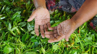 Nhặt rau, gọt khoai, gọt chuối không sợ đen bẩn tay nhờ thứ nước này, vừa đảm đang vừa xinh