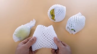 Vứt bỏ lưới bọc hoa quả là lãng phí, giữ lại có nhiều công dụng, giúp tiết kiệm rất nhiều tiền